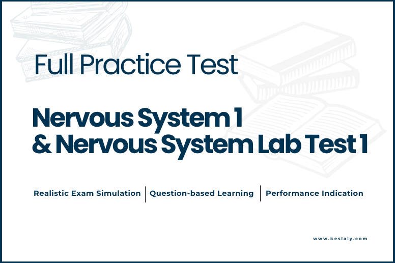 Nervous System 1 & Nervous System Lab Test 1 practice test cover